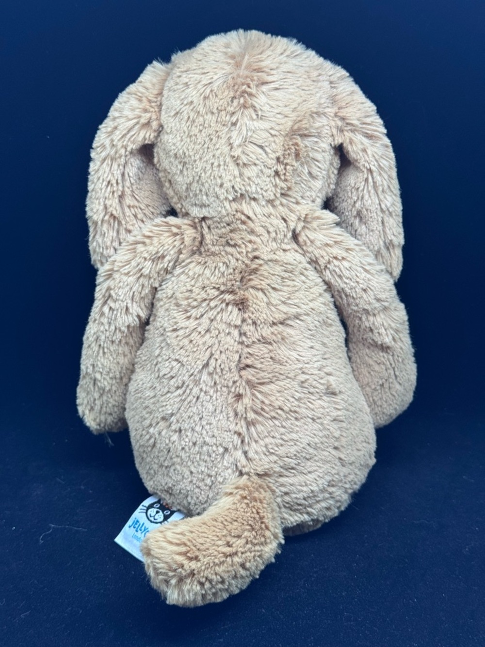 JELLYCAT - Bashful Toffee Puppy Dog Plush Toy - 12” - Picture 5 of 8